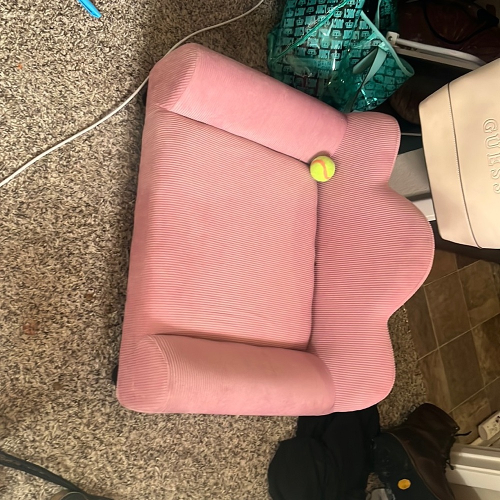 Adorable princess dog bed